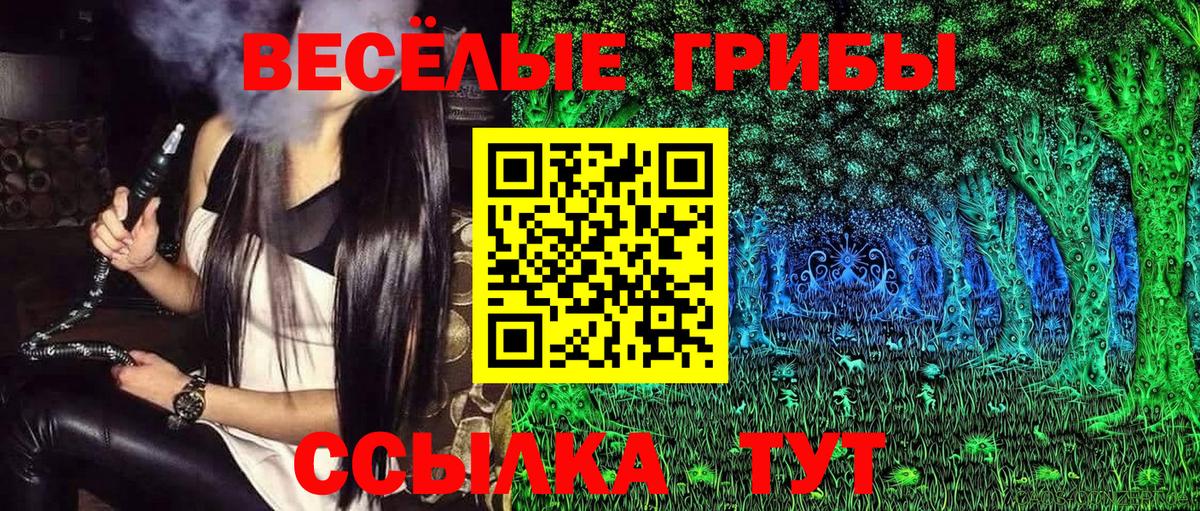Жигулёвск  Псилоцибиновые грибы мицелий  где купить наркоту  Вход с VPN 